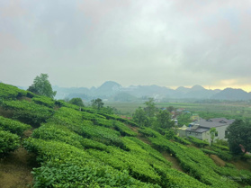 Chính chủ gửi bán lô đất cực đẹp tại Chiềng Đi, Mộc Châu - Cơ hội đầu tư vô cùng hấp dẫn