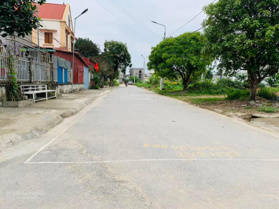 Bán lô 117m mặt tiền 6m, giá 2,9x tỷ, tại chung cư Quỳnh Hoàng, Nam Sơn, An Dương LH 0979 087 664