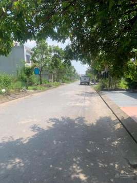 Siêu đẹp khu Vật liệu Cách điện An đồng An dương, đón đường Trục chính đang làm, giá đầu tư cực tốt