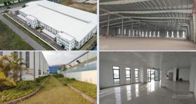 Bán nhà xưởng tổng diện tích 13.000m2 trong KCN Hải Phòng