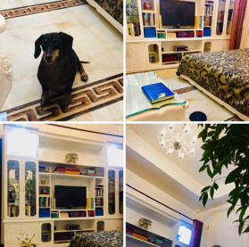 Căn biệt thự đẹp lô góc, nở hậu cách Hồ Tây 20m, view Hồ Tây tuyệt đẹp, đẳng cấp