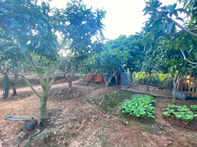 Trung tâm du lịch Mường Sang - TT Mộc Châu, 2500m2, 650m thổ cư, đường thông Cách QL43 gần 100m