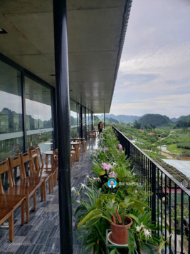 Đầu tư đất nghỉ dưỡng Vân Hồ Mộc Châu Sơn La, giá cực mềm chỉ 500- 1tr/m2