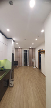 Chính chủ bán gấp căn hộ 2N + 1VS, BC Đông Nam, Vinhomes Smart City