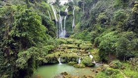 Bán 7ha đất full thổ tại Vân Hồ - Sơn La. Liên hệ: 0978 167 564