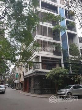 Bán nhà lô góc ngõ 91 Nguyễn Chí Thanh, 50m2 5 tầng phân lô vỉa hè - ô tô tránh giá 18 tỷ