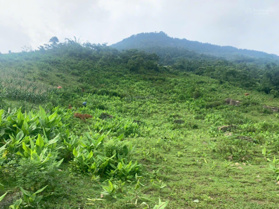 Bán mảnh đất view thung lũng Mường Hoa - SaPa