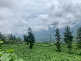 Bán mảnh đất full thổ cư đường đi Cát Cát trung tâm SaPa