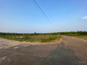 Đất đấu giá Quảng Trị chỉ 5xxtr