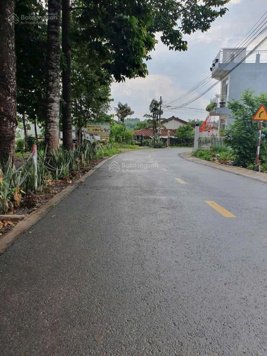 Ngộp vốn bán lô đất 120m2/SHR, MTĐ Nguyễn Đình Chiểu, gần THPT Hoàng Diệu, Sóc Trăng. Giá 750tr