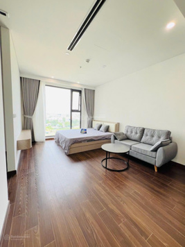 Chính chủ cần bán gấp căn studio - DT 30.3m2, tại toà B Masteri West Heights Tây Mỗ