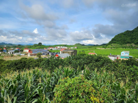 Bán 150 m2 có 50m2 TC bản Muống Phiêng Luông TTNT Mộc Châu, đón đầu cao tốc