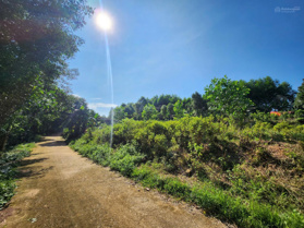 Chính chủ bán lô đất sát bên KCN Hải Lệ giá chỉ 190tr