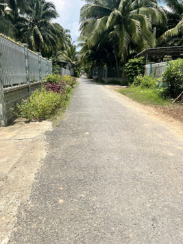 Tôi bán gấp lô đất vườn Chợ Gạo 1928.7m2 có 300m2 thổ cư. SHR sát lộ nhựa 20m. Chỉ 1 tỷ 679 triệu