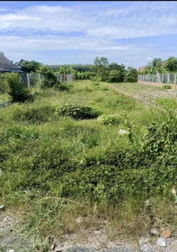 Sở hữu ngay nền thổ cư ngay MT Nguyễn Thị Hồng, TT Vũng Liêm, VL, 168m2 đã có SHR