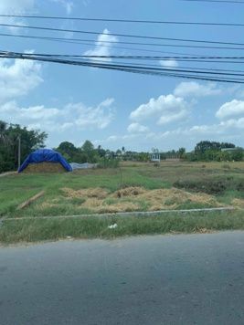 Sở hữu ngay nền thổ cư chỉ 488tr/165m2 tại Châu Thành, Trà Vinh, SHR, công chứng trong ngày