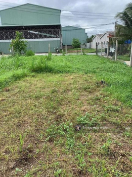 Bán gấp lô đất Đ. Phạm Thái Bường, Phường 4, gần VinCom Plaza Vĩnh Long, 120m2 giá 550triệu SHR