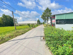 Đất ngộp cần bán 120m2/650tr SHR tại MTĐ Phan Đình Giót, P6, Sóc Trăng gần Chợ Đêm Hồ Nước Ngọt