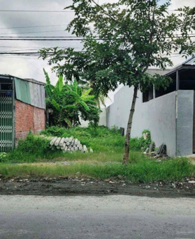 Săn về ngay lô đất số sẵn (SHR) gần chợ xã Thuận An giá 547 triệu - DT 132m2 tại đường ĐT 854.