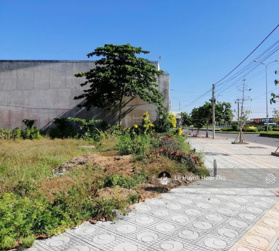 Cần ra đi GẤP nền đất ở Vĩnh Long 7 tỷ 100m2