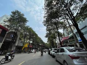 Bán nhà mặt phố Chùa Láng, DT 125m2 x 8 tầng, 2 thoáng, 7 nổi, 1 hầm.