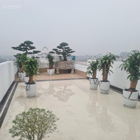 CHÍNH CHỦ ANH DƯƠNG CẦN BÁN NHÀ MẶT PHỐ 135M2- 10 TẦNG- MT 5M- Ở VÀ KINH DOANH LUÔN- GIÁ 155 TỶ