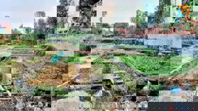 LẬP TRÍ-  MINH TRÍ- Sóc Sơn-HN