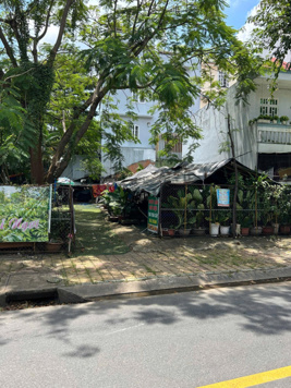 Bán lô đất căn góc đường D1 - Man Thiện, phường Tăng Nhơn Phú A, diện tích 124,1 m2(7,2x18,1m)