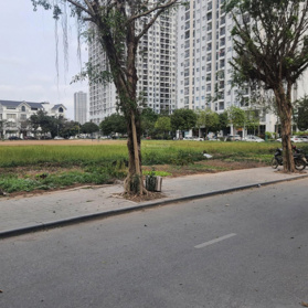 Cần bán gấp biệt thự Dương Nội - An Khang Villa. 198m2 - giá 27 tỷ 0989 325 858 0946 815 858