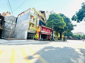 Đất mặt tiền kinh doanh Cao Lỗ, Uy Nỗ, Đông Anh, Hà Nội, lô góc vị trí đắc địa kinh doanh sầm uất