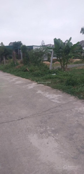 Chính chủ bán 540m2 đất cách Quốc Lộ 46A 100m, Nghi Trường, Nghi Lộc, Nghệ An