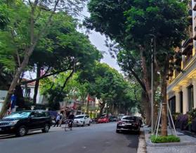 Công chứng giấy tờ tại phố Lê Phụng Hiểu, Hoàn Kiếm