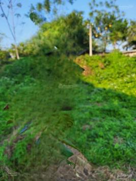 Chính chủ bán đất mặt đường đường tỉnh 86, Xã Ba Trại, Ba Vì, Hà Nội, LH 0862 316 668 Nguyễn Linh