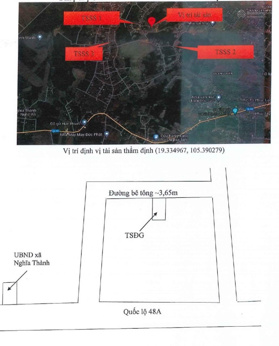 Bán đấu giá thửa đất 174, tờ bản đồ 59, xóm Tân Phong, xã Nghĩa Thành, huyện Nghĩa Đàn, Nghệ An