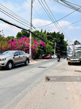 Hiếm -Bán đất tặng nhà 351m2 hẻm nhựa 7m ngay Hoàng Diệu 2 gần ngã tư Thủ Đức TN 40tr/th nhích 16tỷ