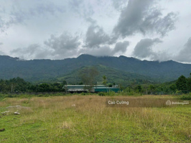 Cần chuyển nhượng 1 lô đất khu đại gia nhà giàu Hà Nội