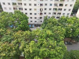 Bán căn hộ tòa Nơ bán đảo Linh Đàm 2 ngủ cực hiếm bán