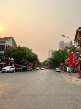 Biệt thự vip nhất Làng Việt Kiều Châu Âu 500m2 - 2 mặt tiền trước sau view công viên. Giá 90 tỷ