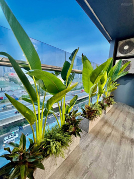 Chính chủ bán căn 3 ngủ 160m2 tại Trung Hòa Nhân Chính tòa 24T2 full đồ ban công Đông Bắc, sổ đỏ