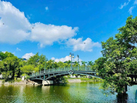 Chính chủ nhờ bán siêu biệt thự vườn cam giá tốt nhất thị trường 300m2