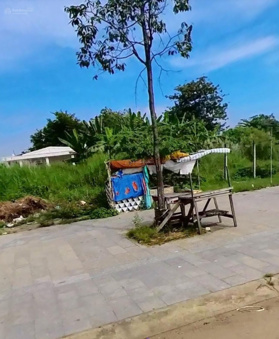 Kẹt tiền bán gấp lô đất 120m2. Ngay UBND P. 6, Đ. Nguyễn Thị Thập, TP. Mỹ Tho, T. Tiền Giang SHR