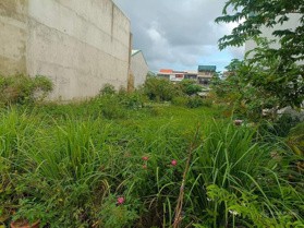 Bán đất nền khu Bầu Vá. Phường Thủy Xuân, TP Huế