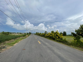 Cần bán đất giá 2 triệu/m² tại Đường ĐT 872B, Tiền Giang