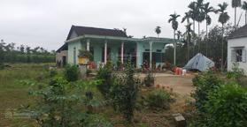 Bán đất Tỉnh Lộ 17 Phong Mỹ, Phong Điền. Thừa Thiên Huế
