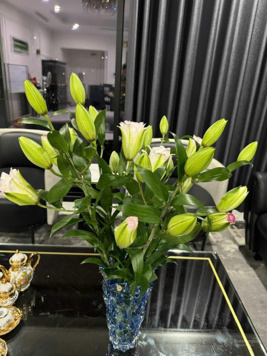 Bán 2 căn hộ chung cư trục 10 và trục 03 chung cư Hateco Laroma, nội thất đẹp