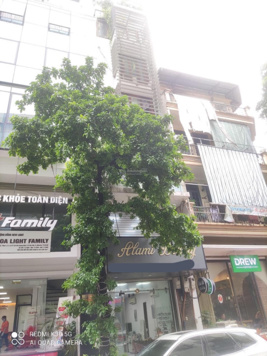 Bán nhà mặt phố Trần Quang Diệu - Đống Đa - 7 tầng thang máy kinh doanh