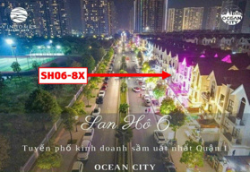 CC bán gấp rẻ nhất nhỉnh 36 tỷ BT song lập San Hô SH06 đối diện VinUni Vinhomes Ocean Park Gia Lâm