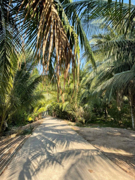 Đất vườn dừa 550m2 20x28m QH Full giá 375tr