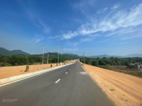 1448m2 trồng cây mặt tiền đường vành đai. Gần cảng liên chiểu. Thích hợp làm kho bãi
