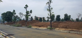 Bán lô đất đấu giá 120m2 6x20 đã có sổ đỏ, đường nhựa 15.5m